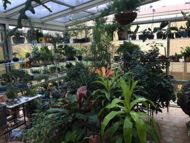 Four Seasons Sunroom full of plants and flowers